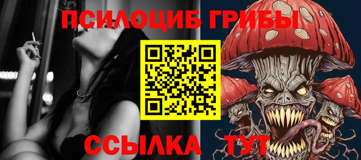 Галлюциногенные грибы мицелий Усть-Джегута