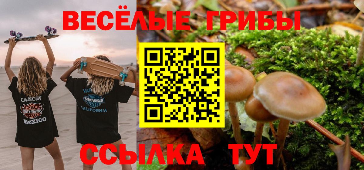 Усть-Джегута  Псилоцибиновые грибы мухоморы  Галлюциногенные грибы мухоморы  Вход с VPN 