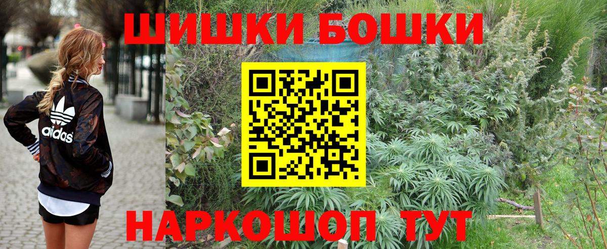 Канабис индика Усть-Джегута